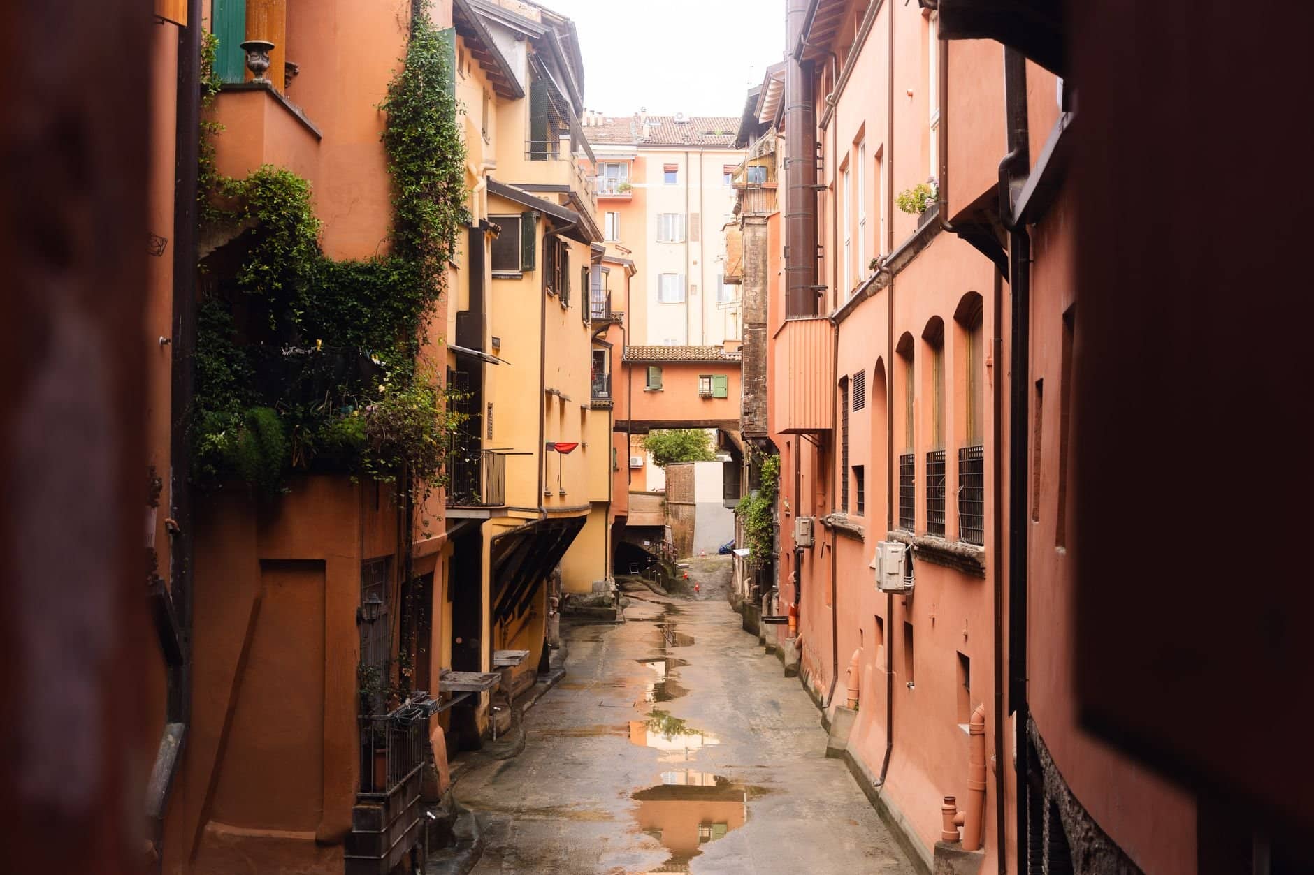 Charming narrow alley in Italy with colorful architecture and greenery.