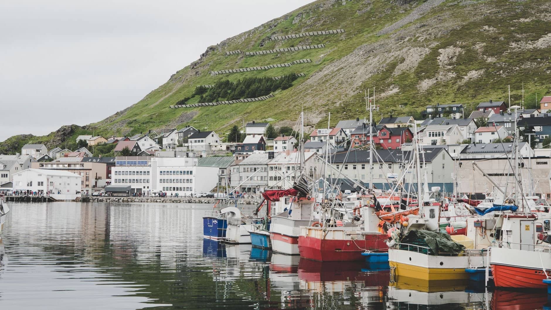 Picturesque harbor in Hol, Buskerud, Norway, featuring colorful fishing boats and hillside houses.