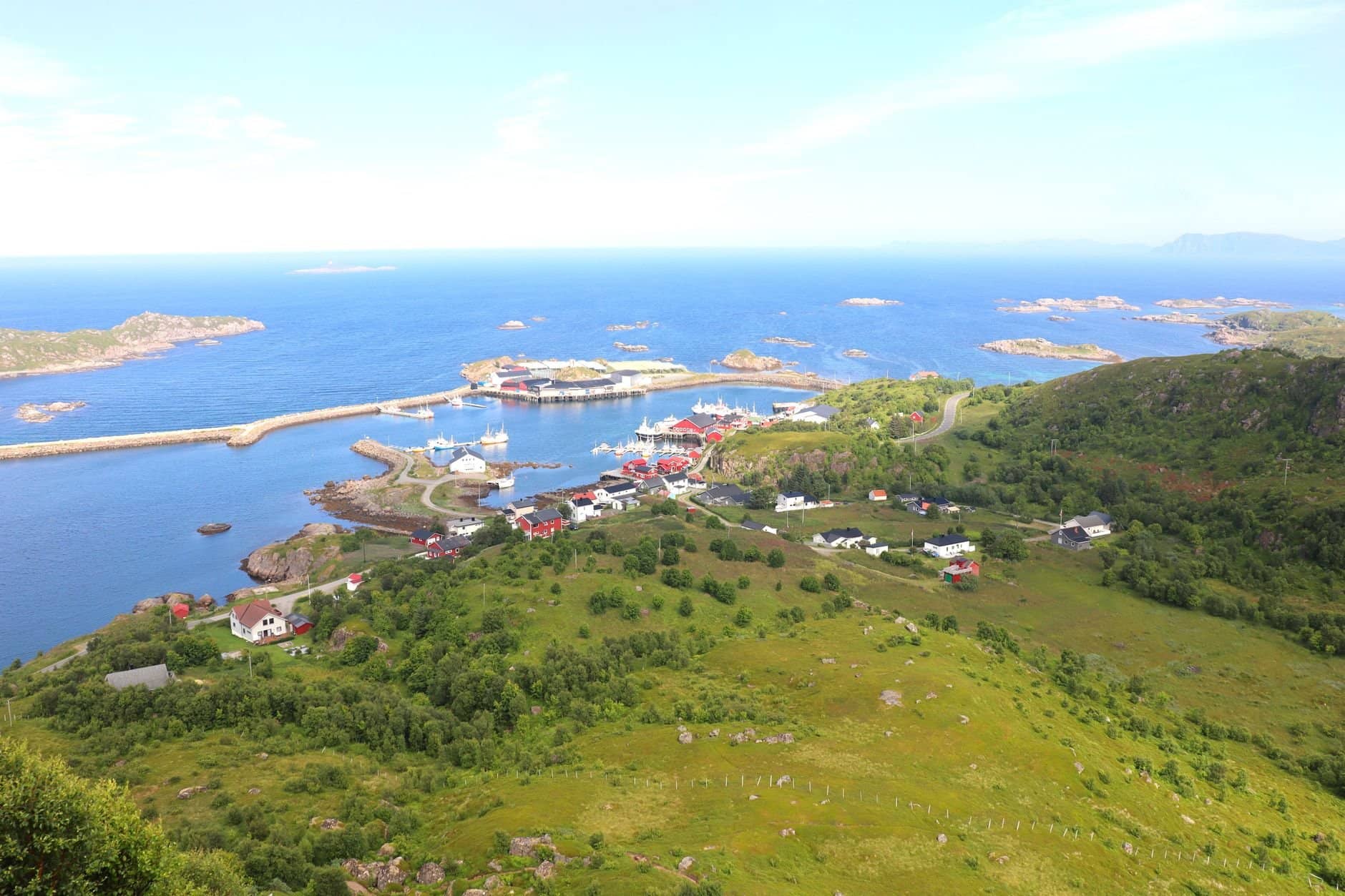 Stunning aerial view capturing a coastal village with a harbor and green landscape.