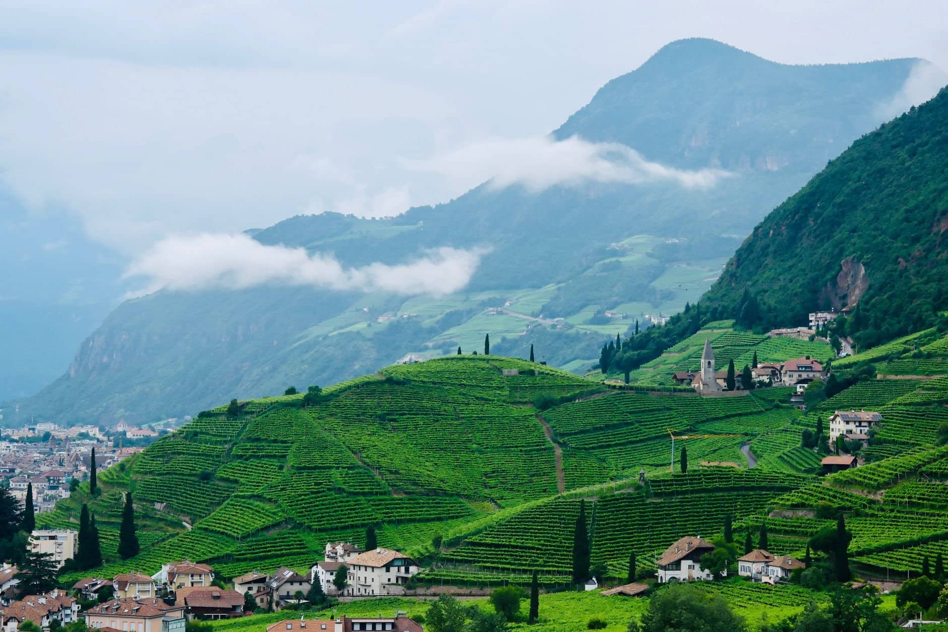Scenic view of vineyards in Bolzano, Italy against a backdrop of majestic mountains.