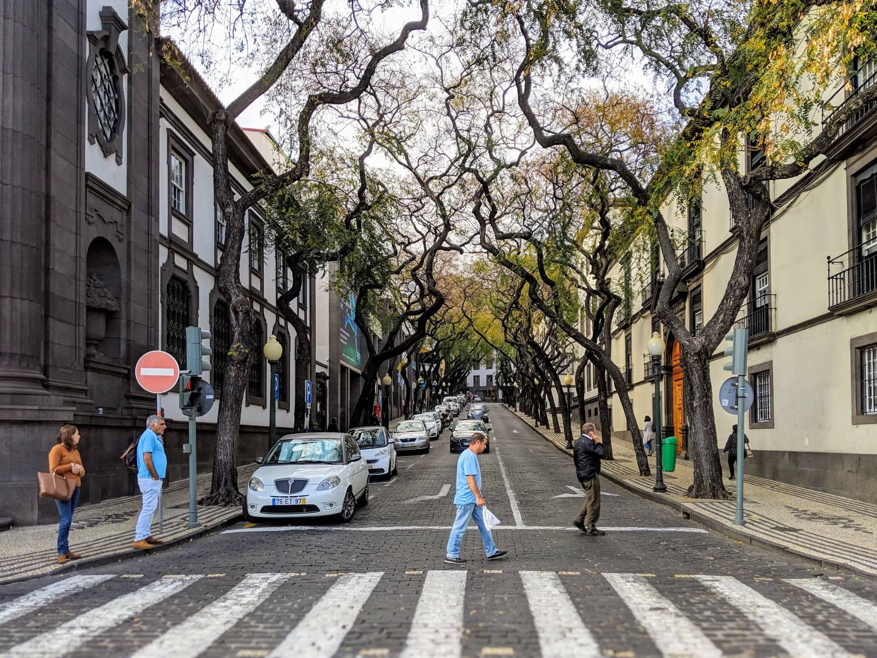 Street view in Funchal, Madeira showing people crossing at a zebra crossing lined with unique twisted trees.