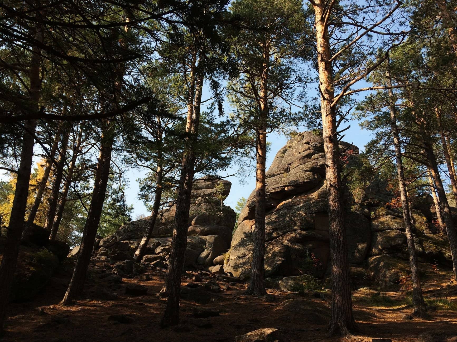Dense forest in Krasnoyarsk, Russia, revealing eroded rocks and tranquil nature.