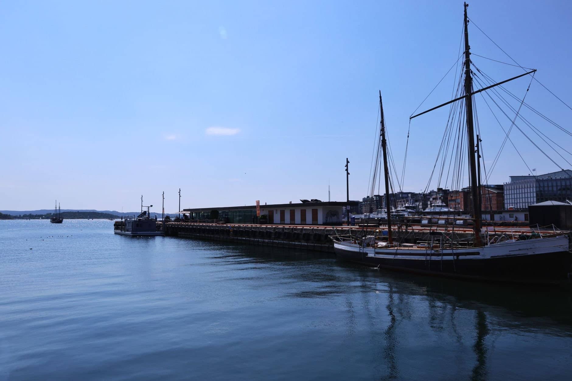 Sailboats anchored at Oslo marina on a clear summer day, showcasing serene waters and blue skies.