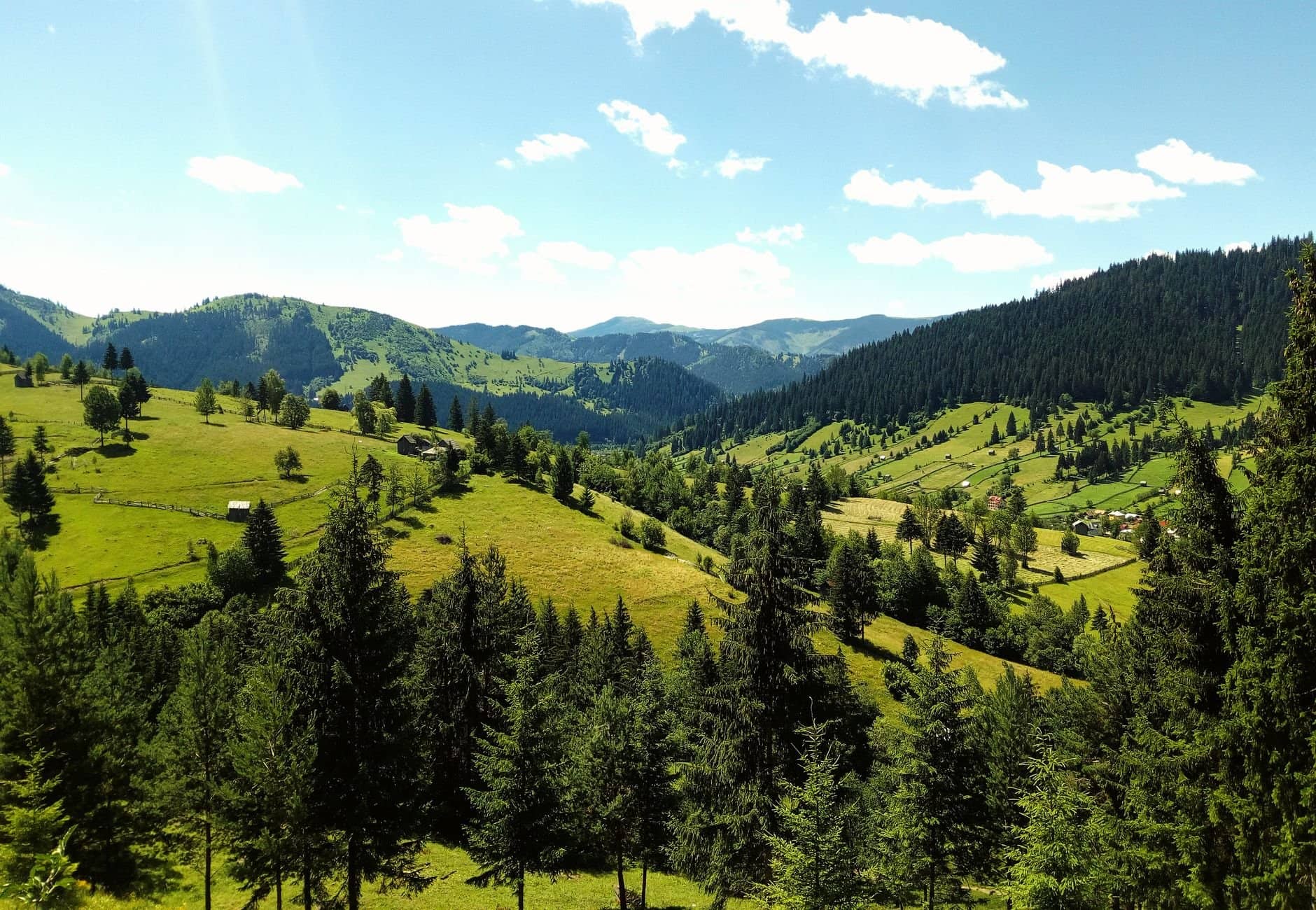 Lush green landscape with hills and forest in Vatra Dornei, Romania, under clear blue sky.