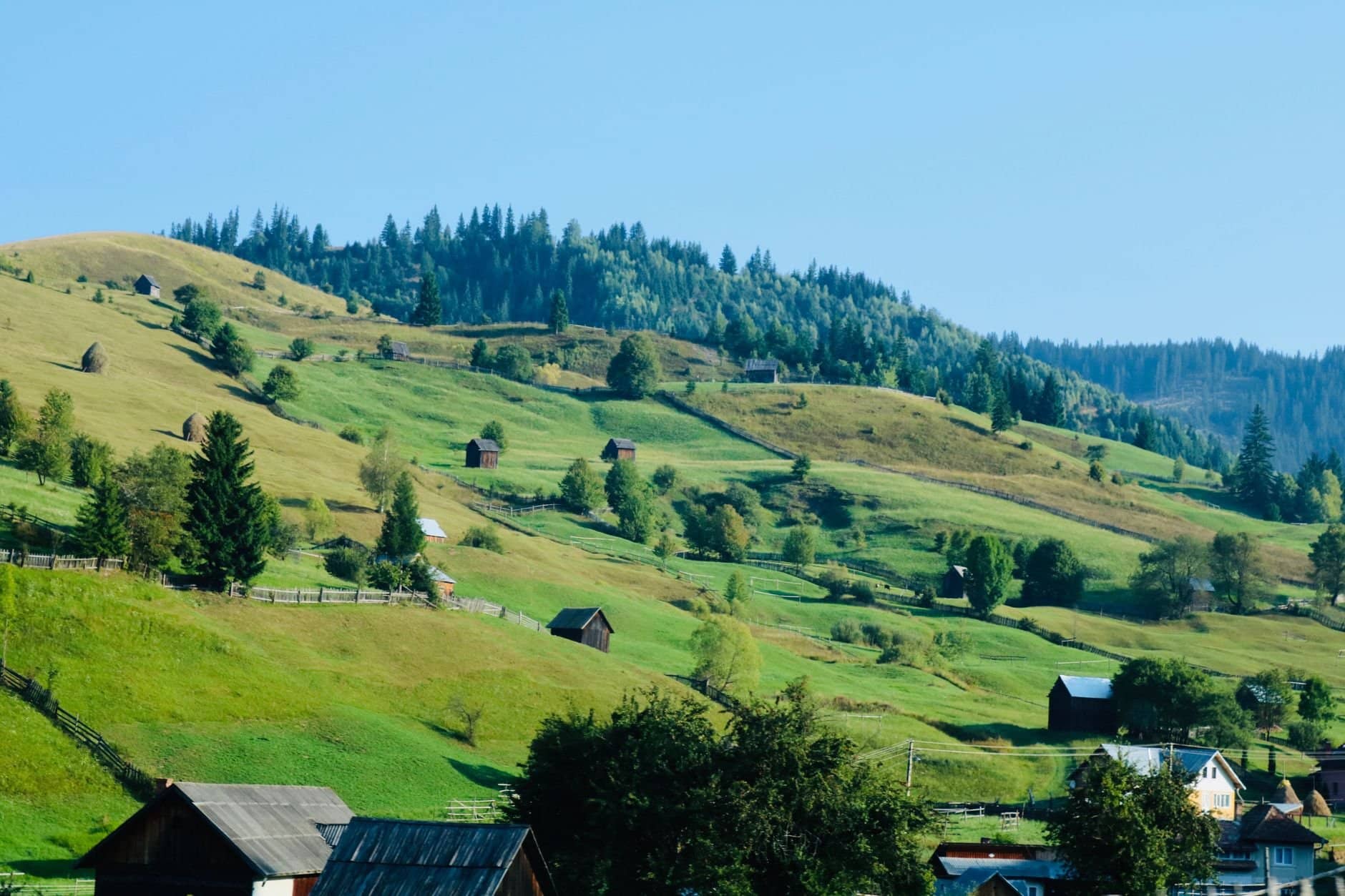 Lush green hills and scattered farmhouses under a clear blue sky in Romania.