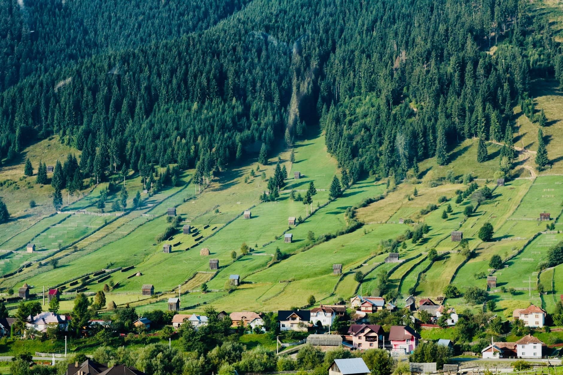 Idyllic pastoral scene with green fields and mountains in Bucovina, Romania.