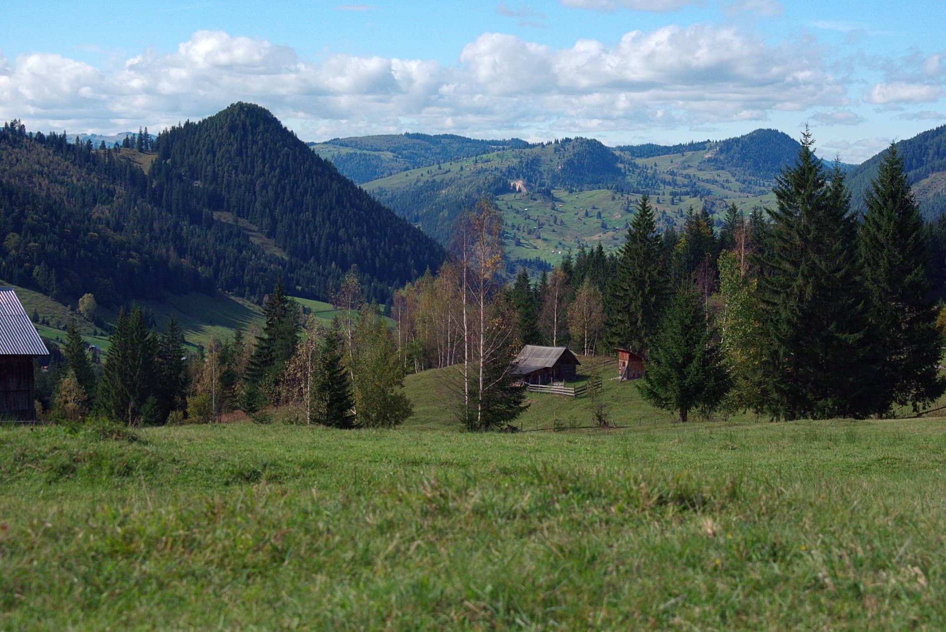 Breathtaking view of Pojorâta's rolling hills and lush pine forests in Romania.