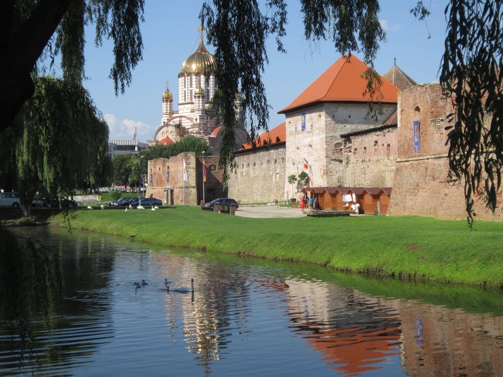 Beautiful view of Făgăraș Castle reflecting on the water with swans, in a serene summer setting.