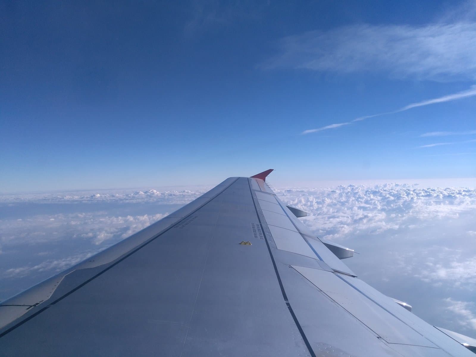 Airplane wing above the clouds — timing is a question on every flight ticket purchase