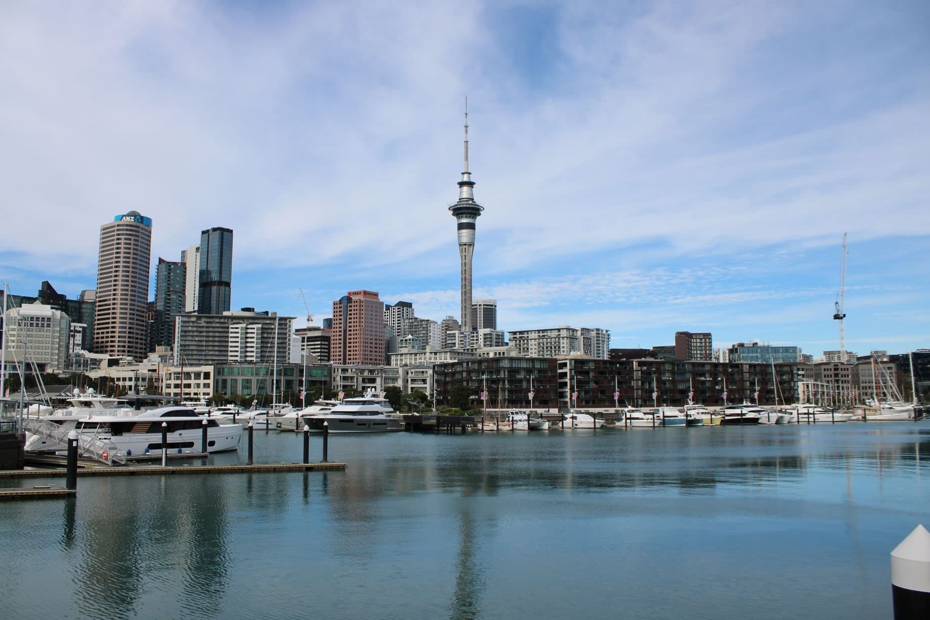 Scenic view of Auckland's skyline featuring the iconic Sky Tower and bustling marina.