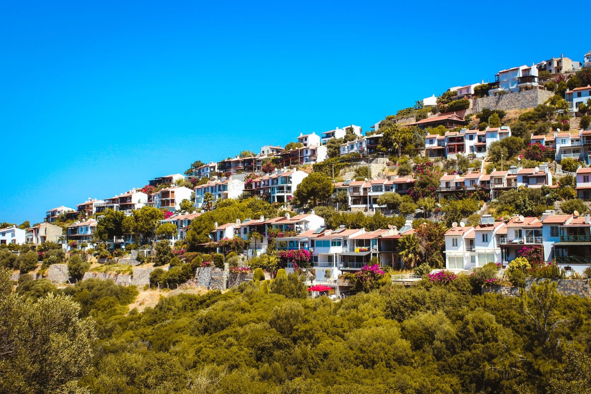 Picturesque hillside town in Bodrum, Türkiye with vibrant vegetation and clear blue skies.