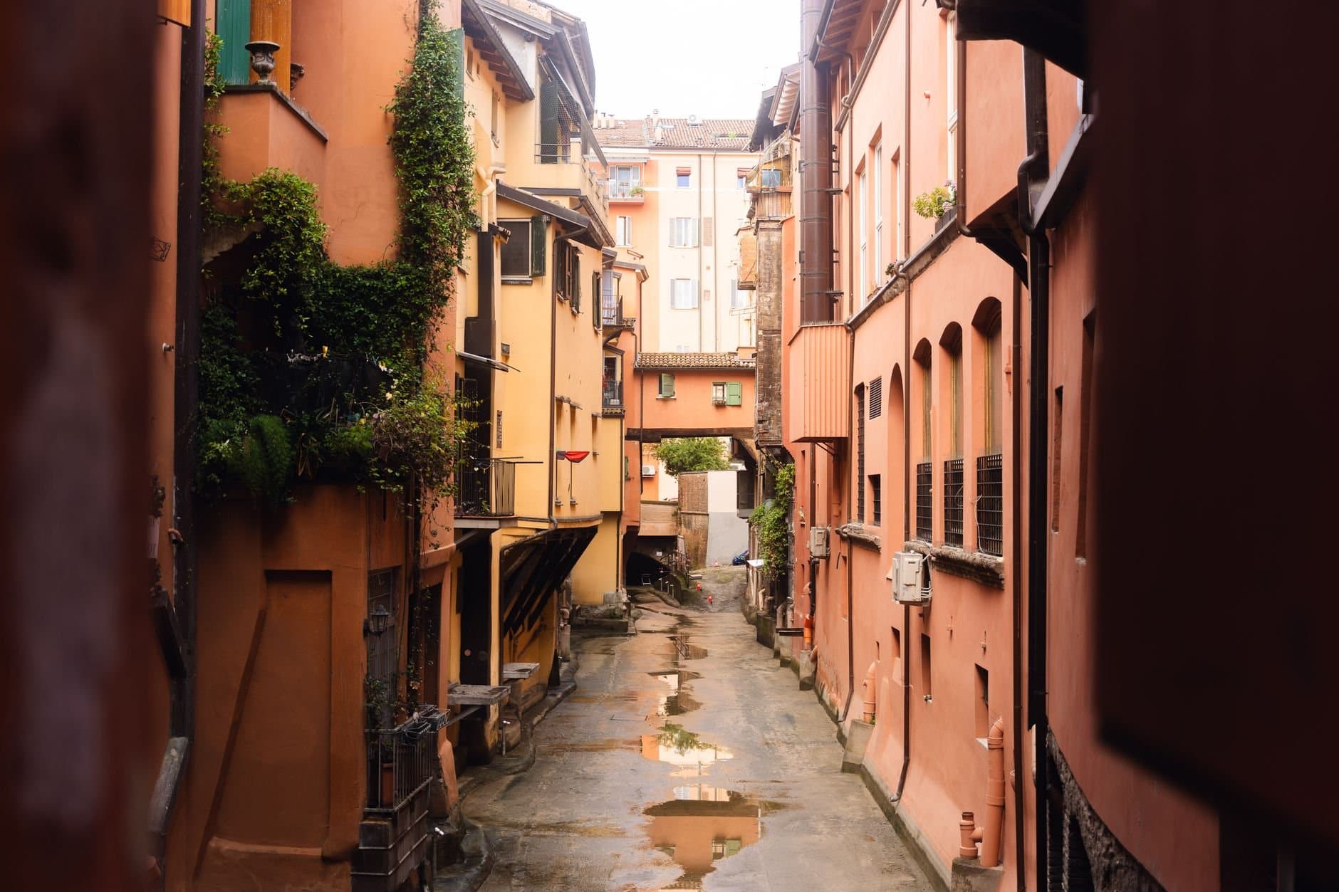 Charming narrow alley in Italy with colorful architecture and greenery.
