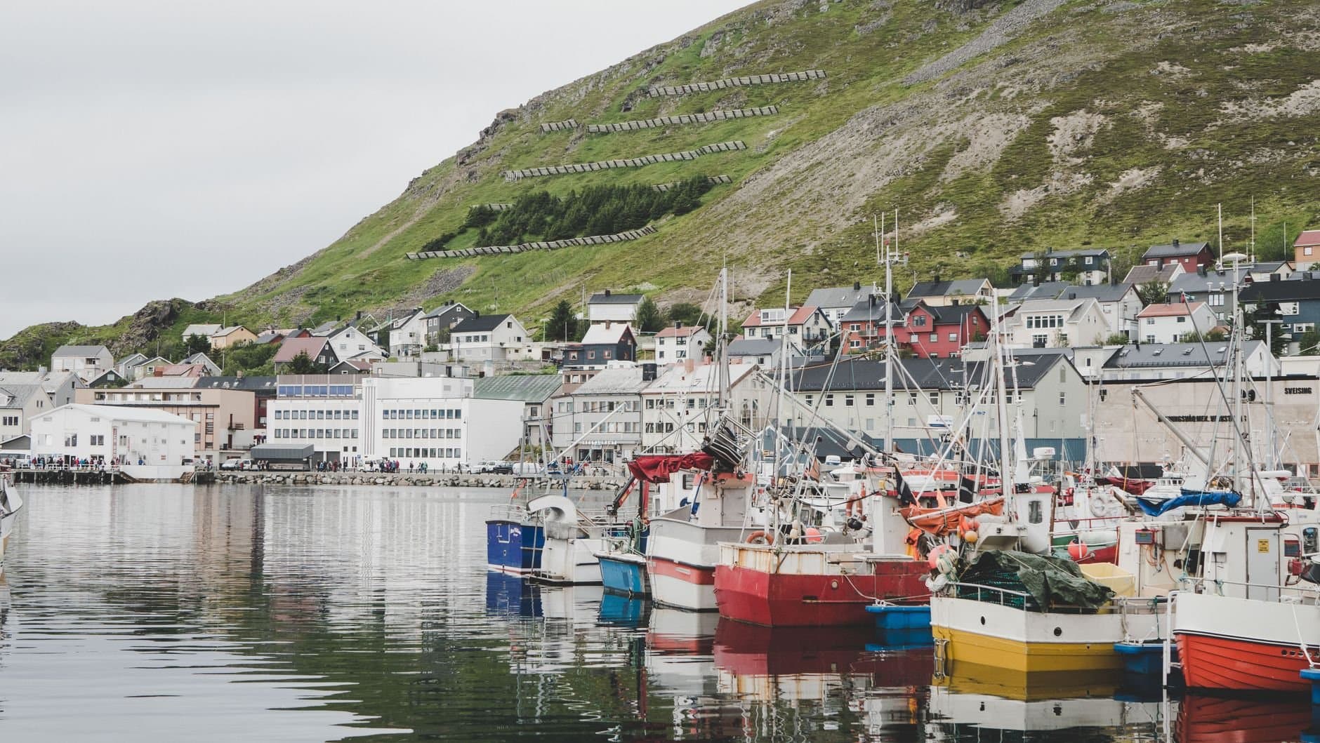 Picturesque harbor in Hol, Buskerud, Norway, featuring colorful fishing boats and hillside houses.