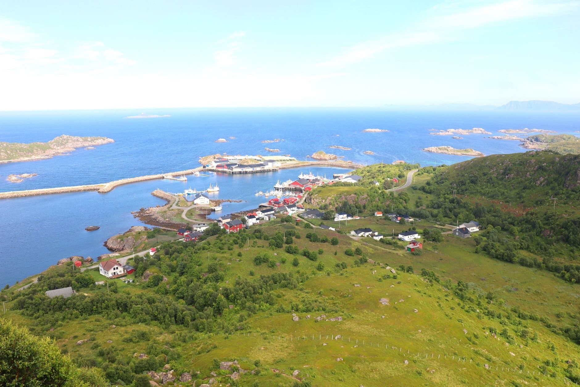 Stunning aerial view capturing a coastal village with a harbor and green landscape.