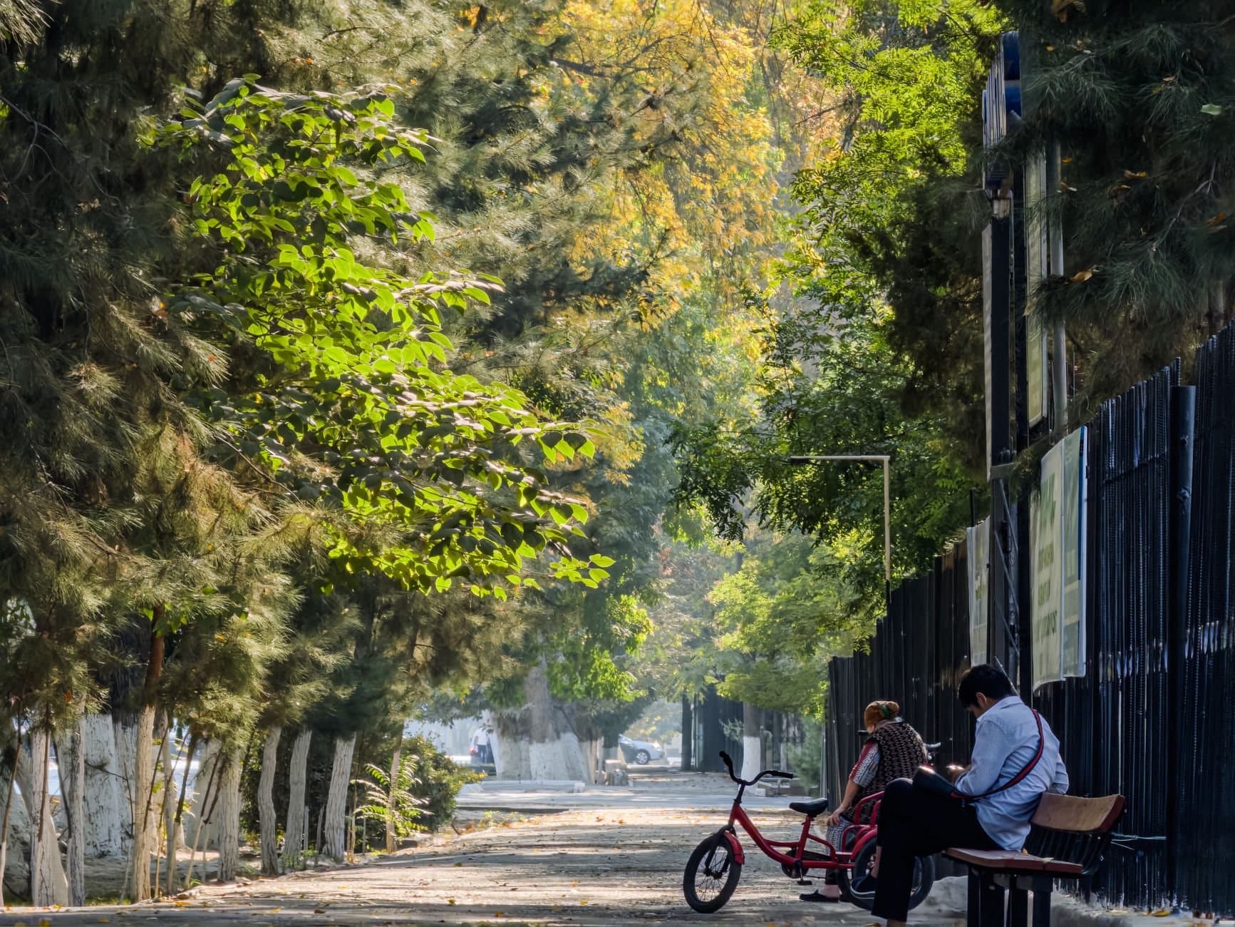 Two people relaxing in a shaded park in Fergana, Uzbekistan, during a sunny summer day.