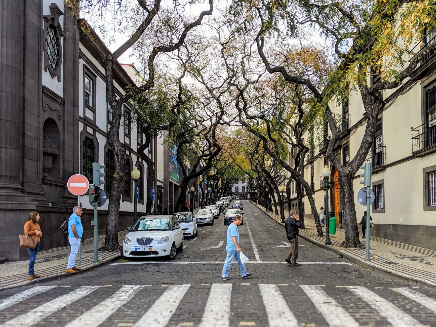 Street view in Funchal, Madeira showing people crossing at a zebra crossing lined with unique twisted trees.