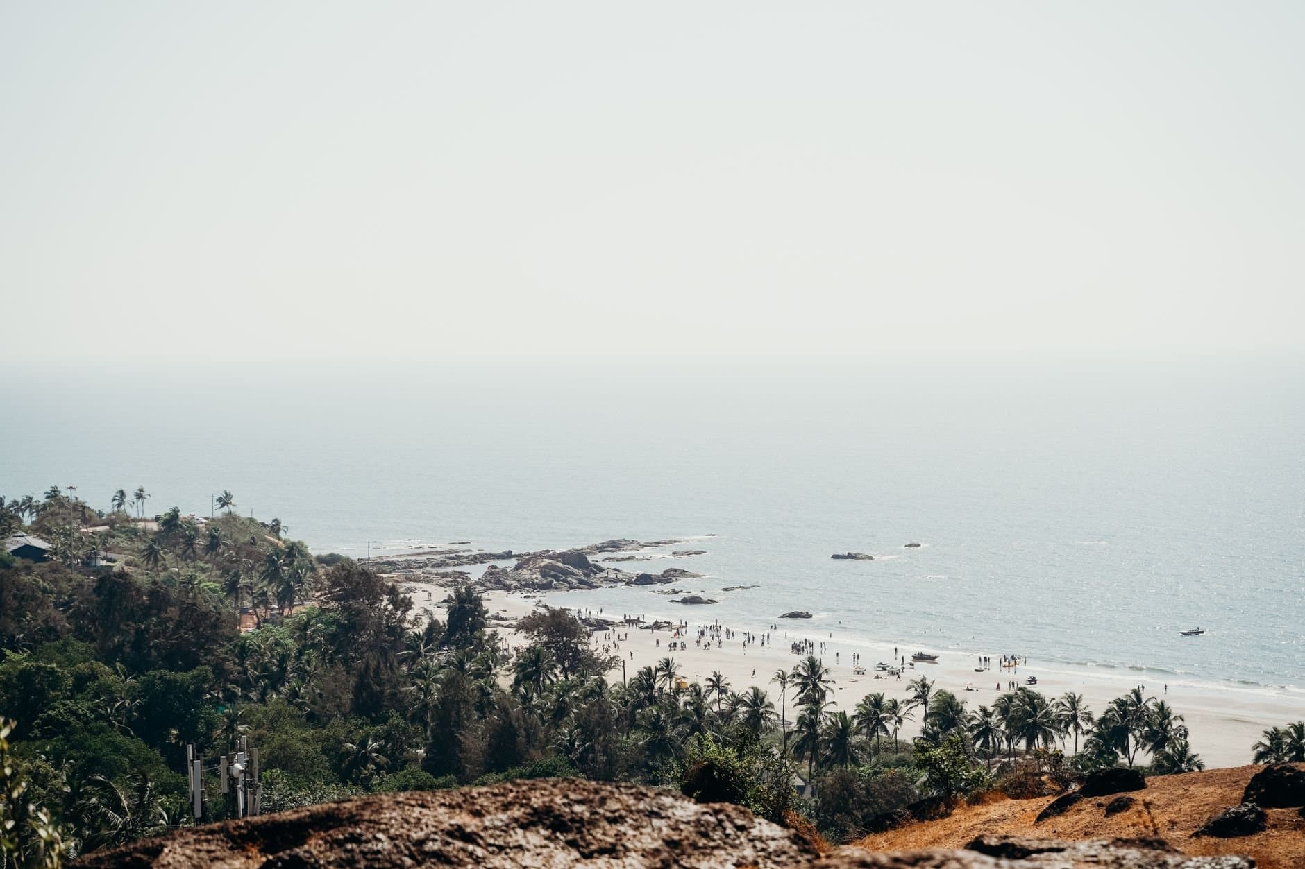 Breathtaking view of Goa's coastline with palm trees and a serene beach under the summer sun.