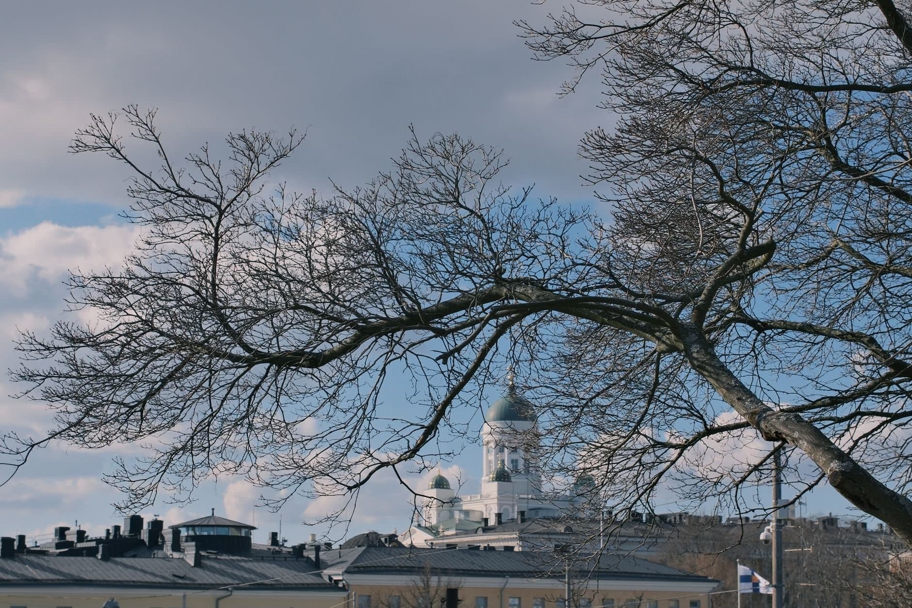 View of Helsinki Cathedral framed by bare branches on a clear winter day.