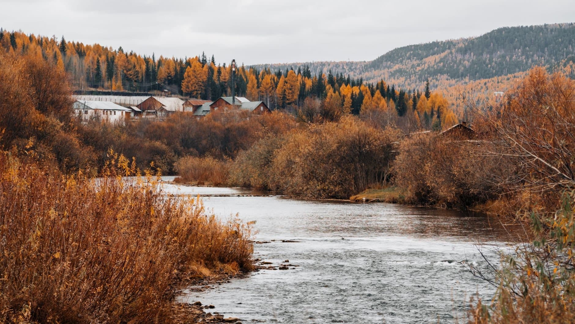 Serene autumn landscape in Ust-Kut, Russia featuring a calm river and golden foliage.