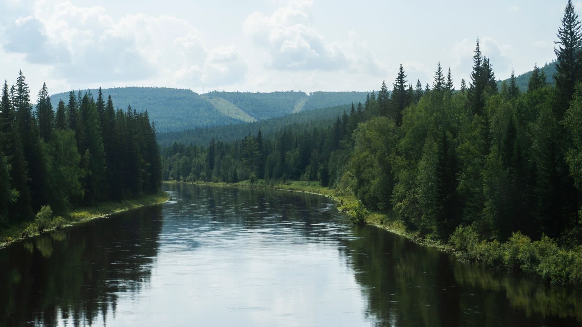 A beautiful river meandering through a dense green forest in Ust-Kut, Russia, captured in summer.