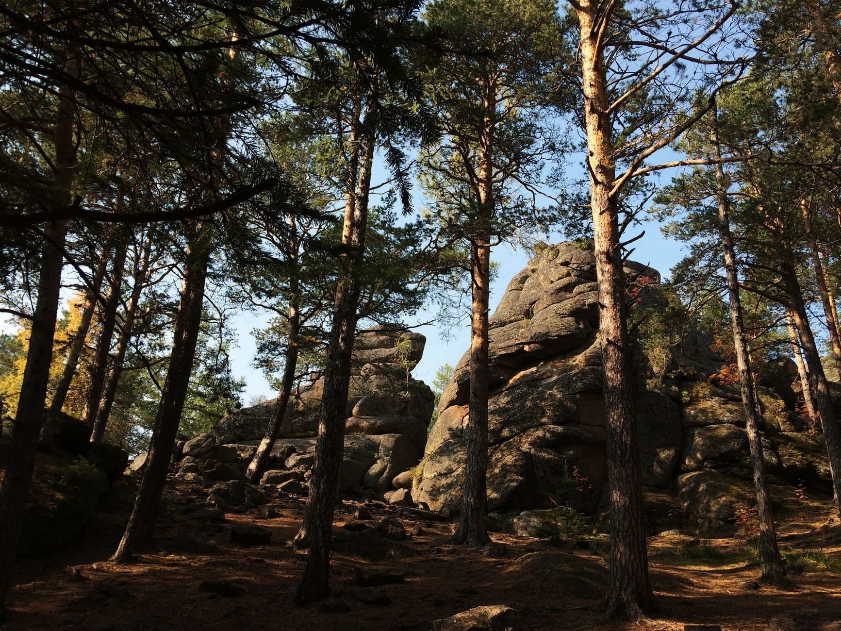 Dense forest in Krasnoyarsk, Russia, revealing eroded rocks and tranquil nature.