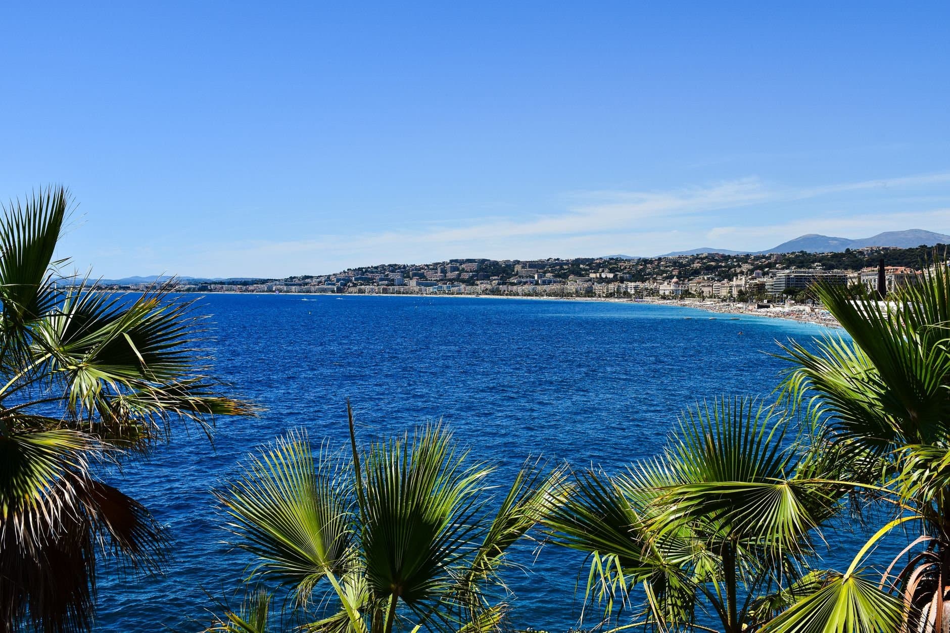 A picturesque view of the azure coast and palm trees in Provence-Alpes-Côte d'Azur, France.