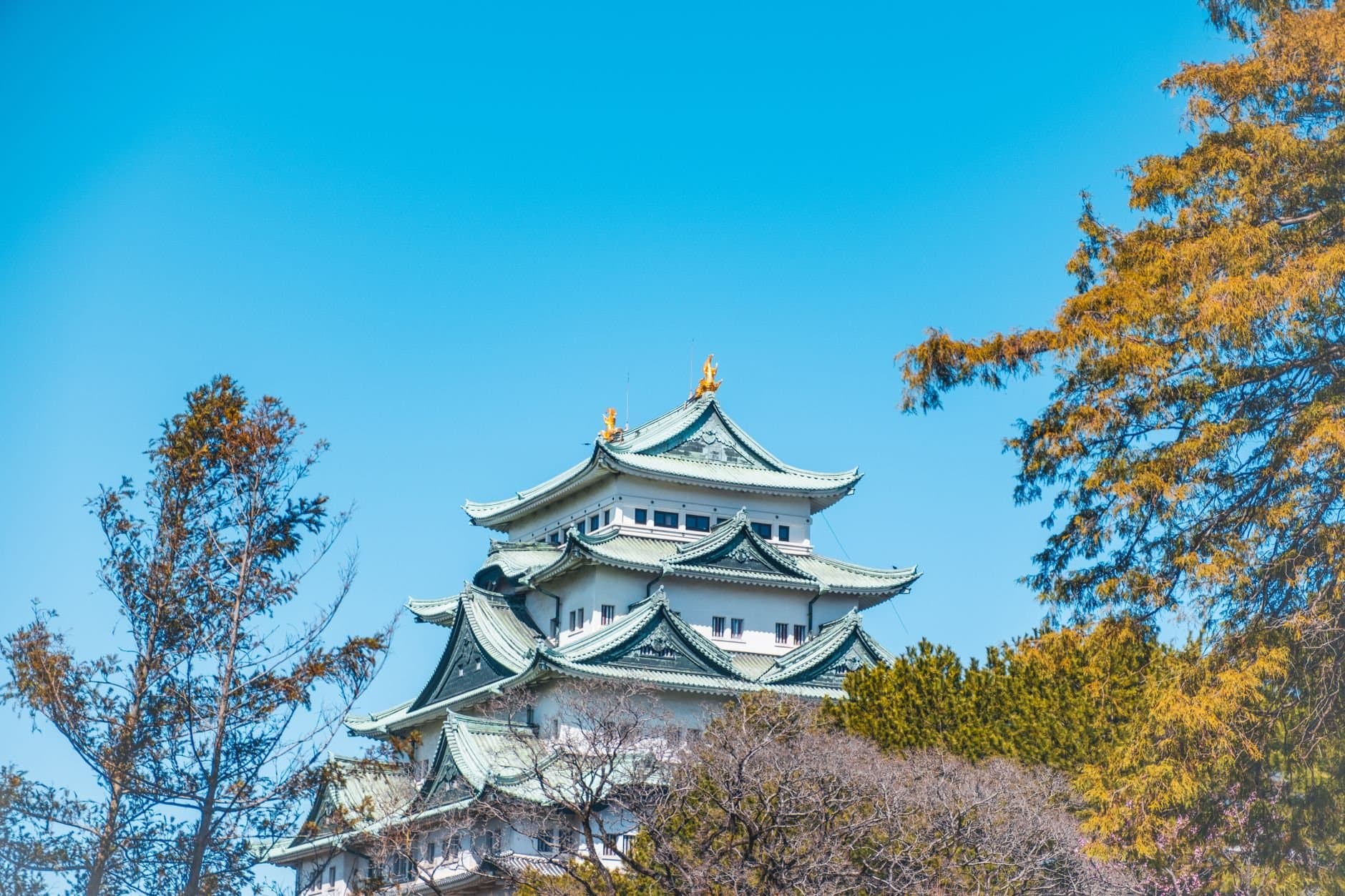 A picturesque view of Nagoya Castle surrounded by vibrant spring foliage in Japan.