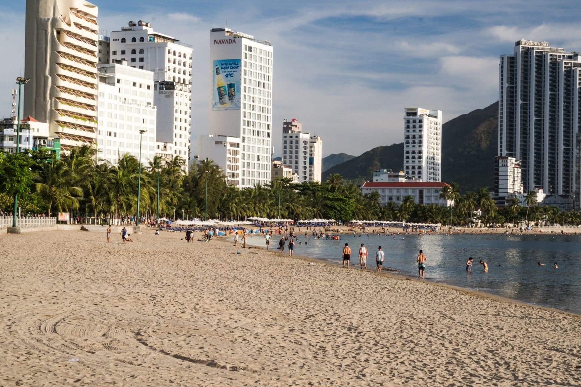 Urban beachfront scene with tall hotels, palm trees, and people enjoying a sunny day.
