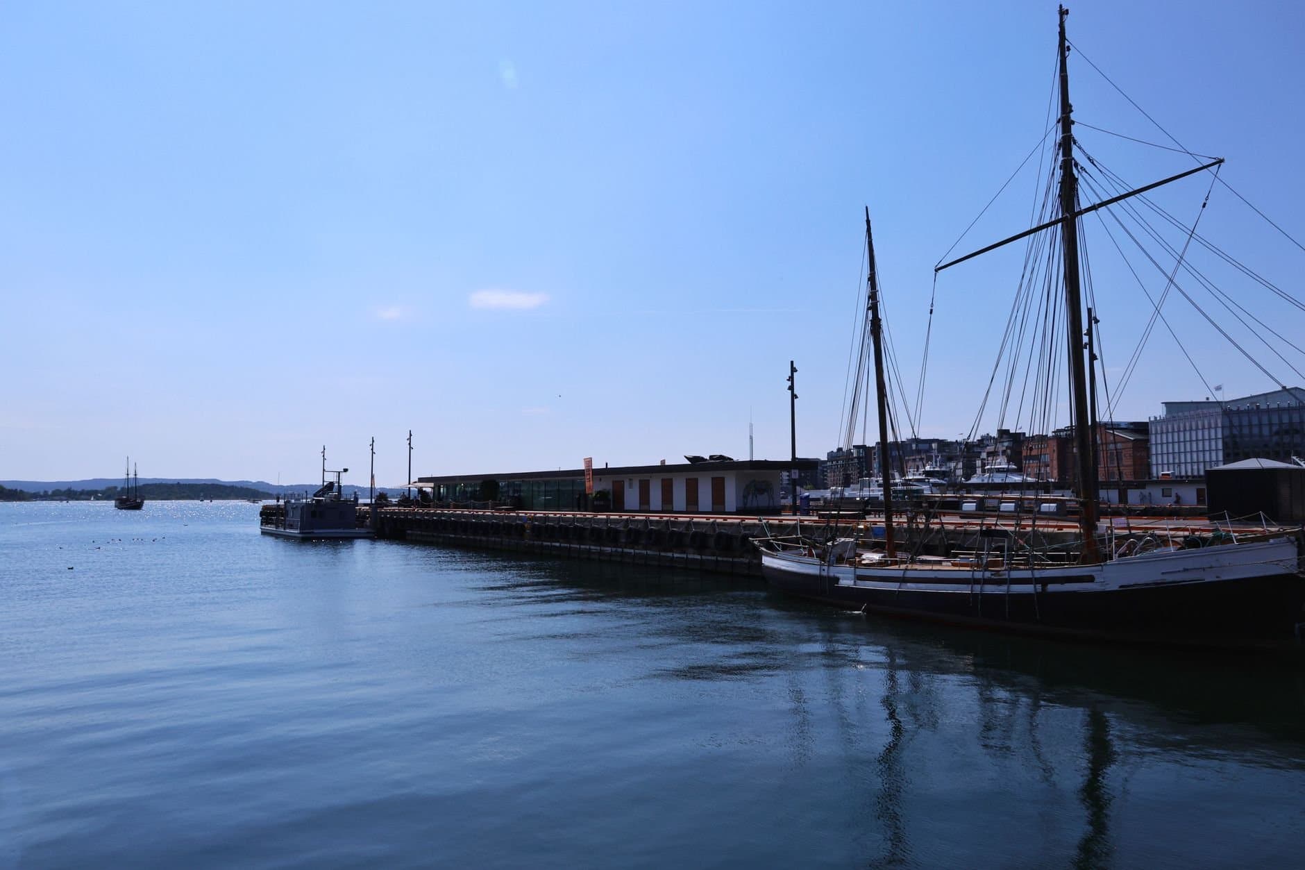 Sailboats anchored at Oslo marina on a clear summer day, showcasing serene waters and blue skies.