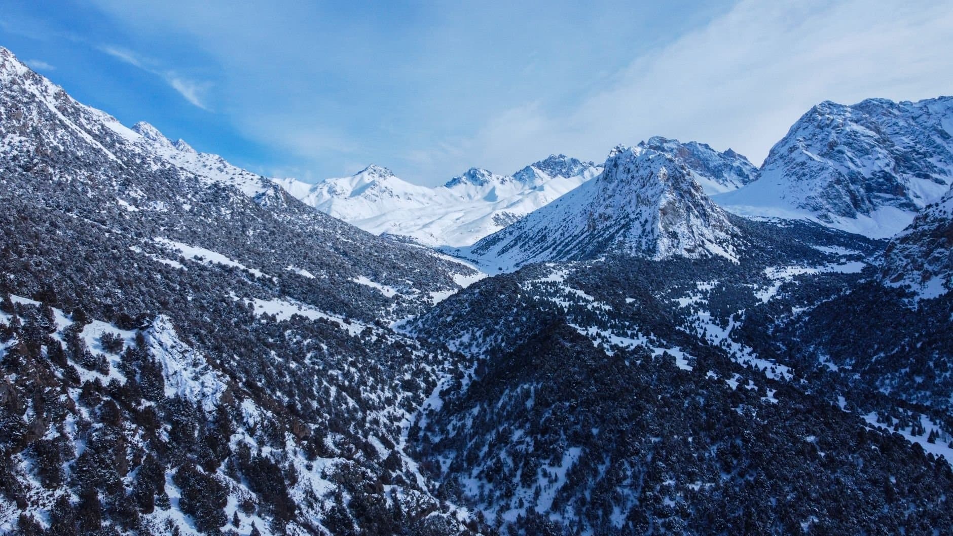 Majestic snowy mountains and forests in Osh Region, Kyrgyzstan under a clear blue sky.