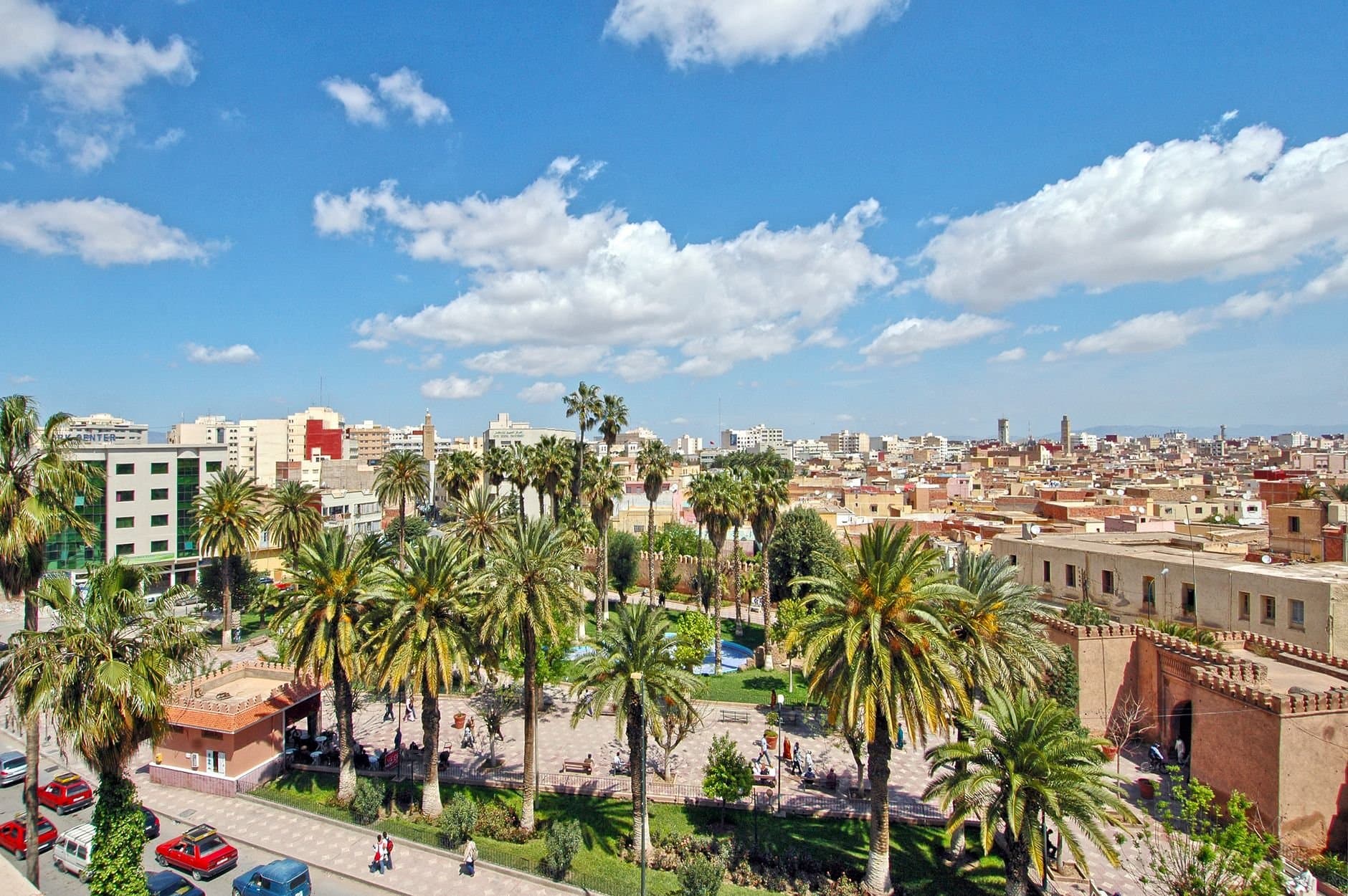 Scenic view of Oujda cityscape with palm trees and historic architecture.
