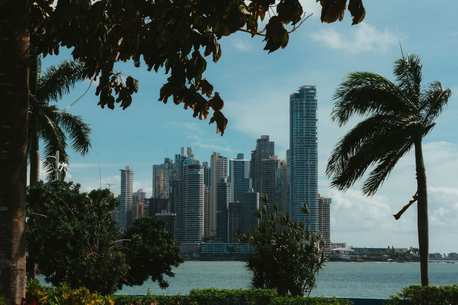 View of Panama City's skyline through lush trees, featuring tall skyscrapers under a blue sky.