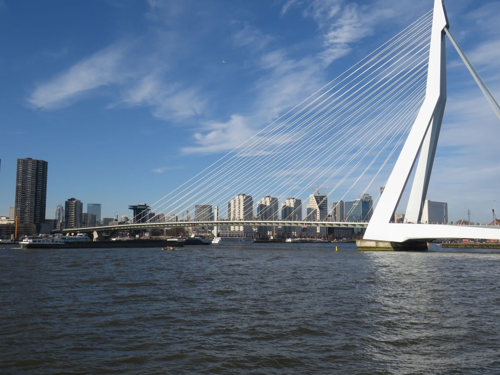 View of the iconic Erasmus Bridge over the Nieuwe Maas with Rotterdam skyline.