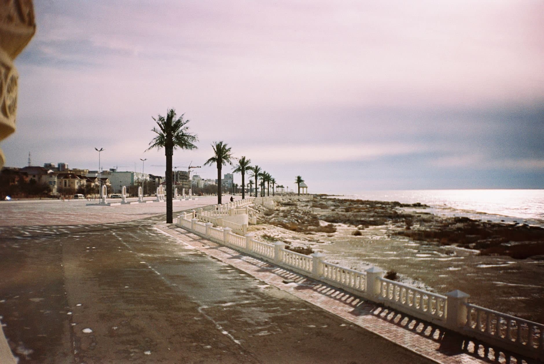Scenic view of Aktau's coastline promenade with palm trees and serene sea.