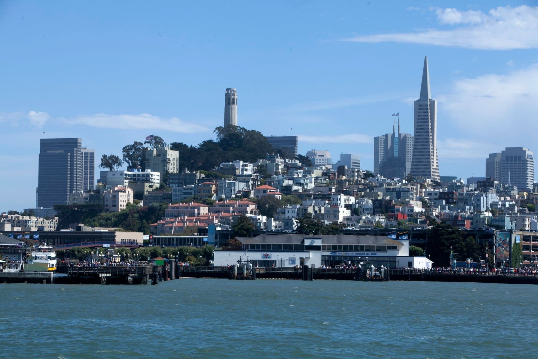 Scenic view of San Francisco skyline featuring the Transamerica Pyramid and waterfront.
