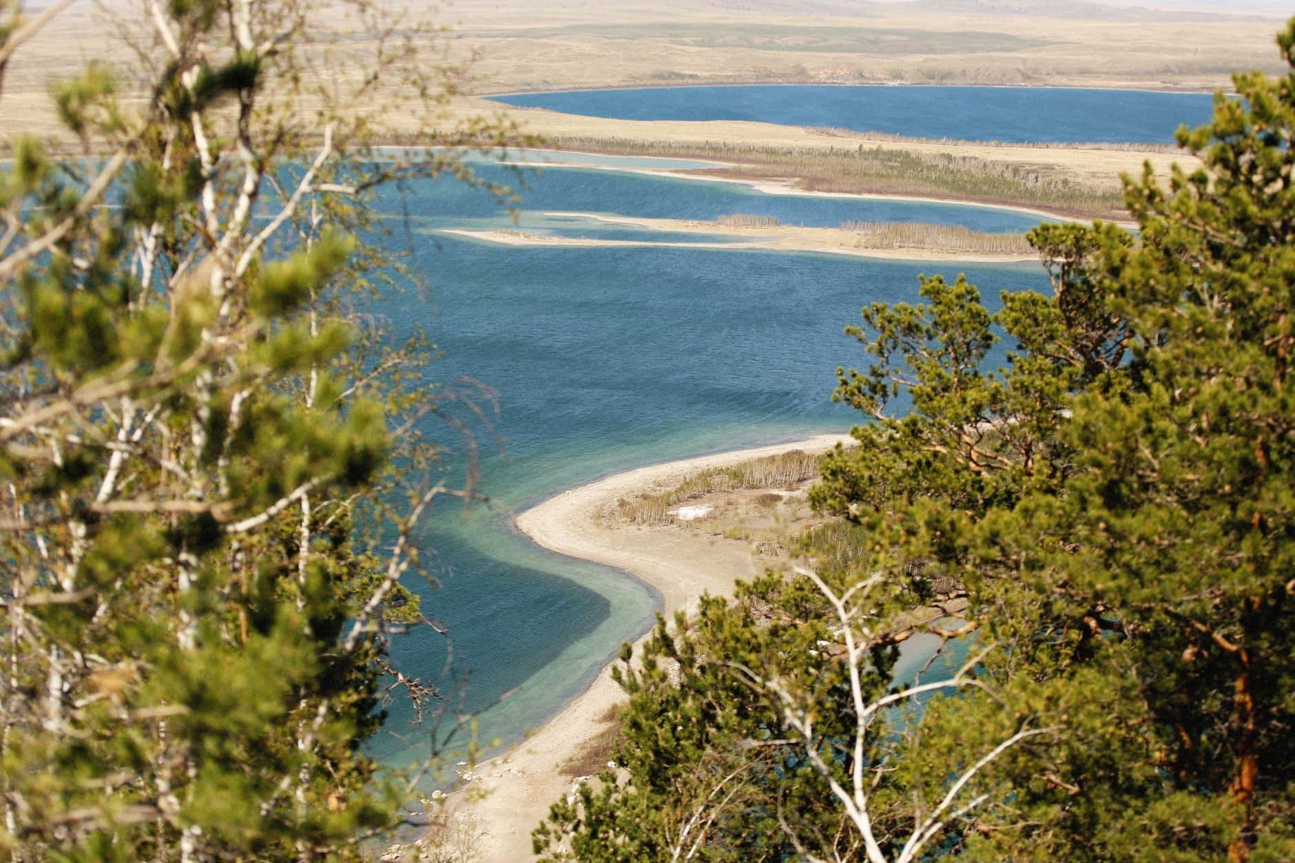 Aerial view of a beautiful coastal landscape with lush green trees and white sandy beaches.