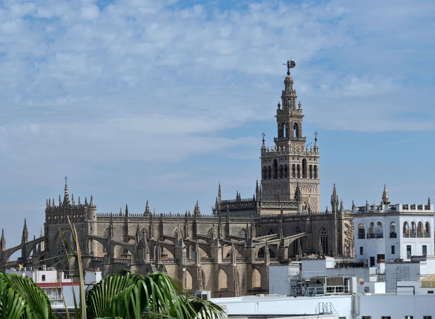 View of the iconic Giralda Tower and Seville Cathedral in sunny Andalucía, Spain.