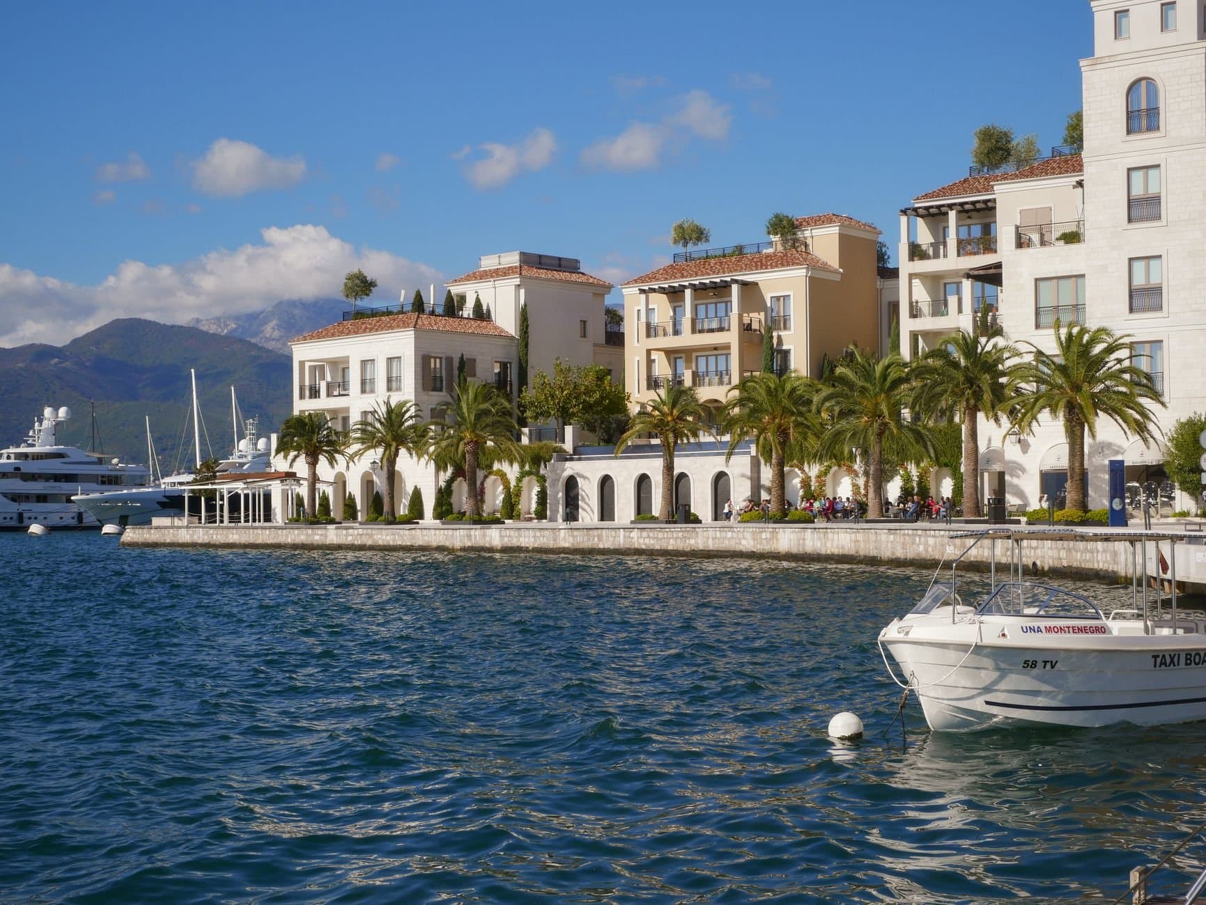 A picturesque waterfront featuring luxury buildings, yachts, and palm trees in Tivat, Montenegro.