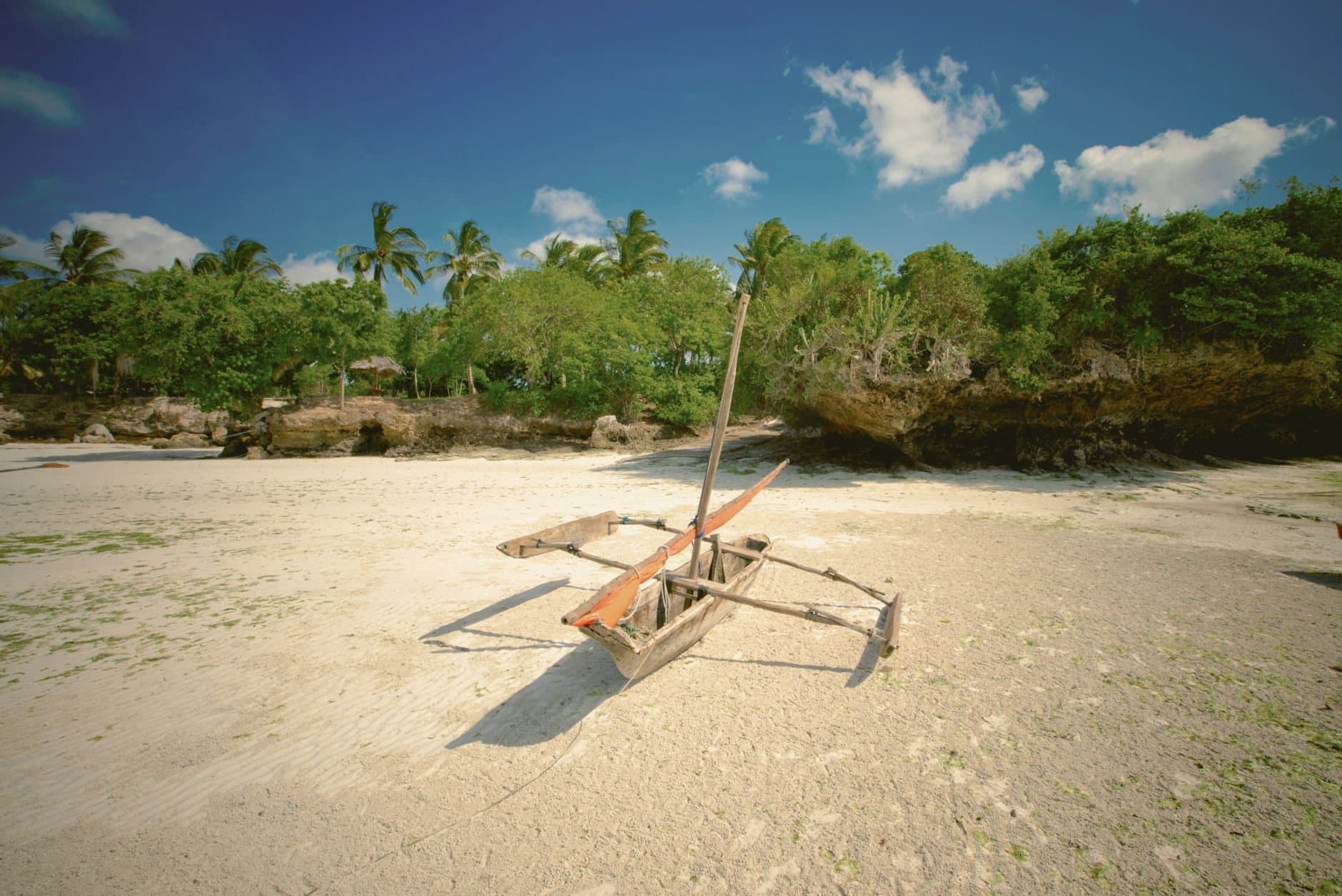 Traditional wooden canoe on a sandy beach in Zanzibar with lush greenery and clear blue sky.