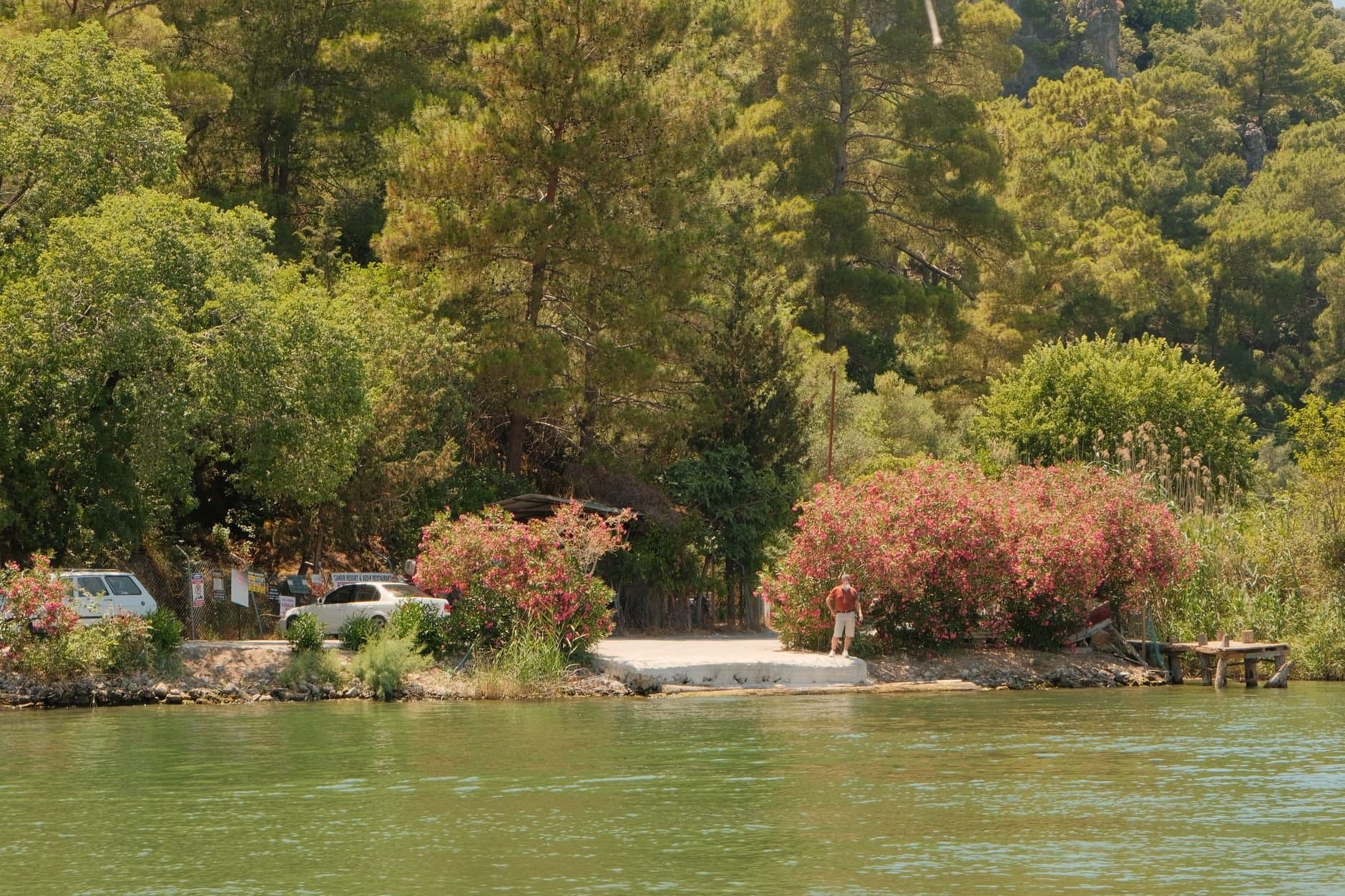 Serene riverbank with lush greenery and blooming flowers in Dalaman, Türkiye.