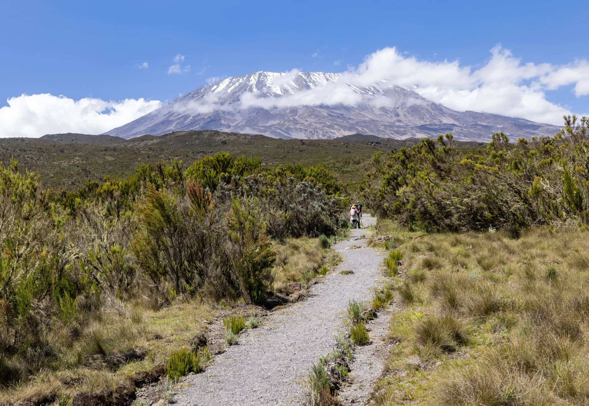 Kilimanjaro, Tanzánia