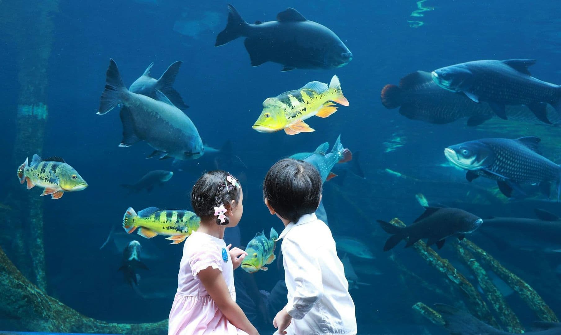 Aquaria Phuket: Entry Ticket