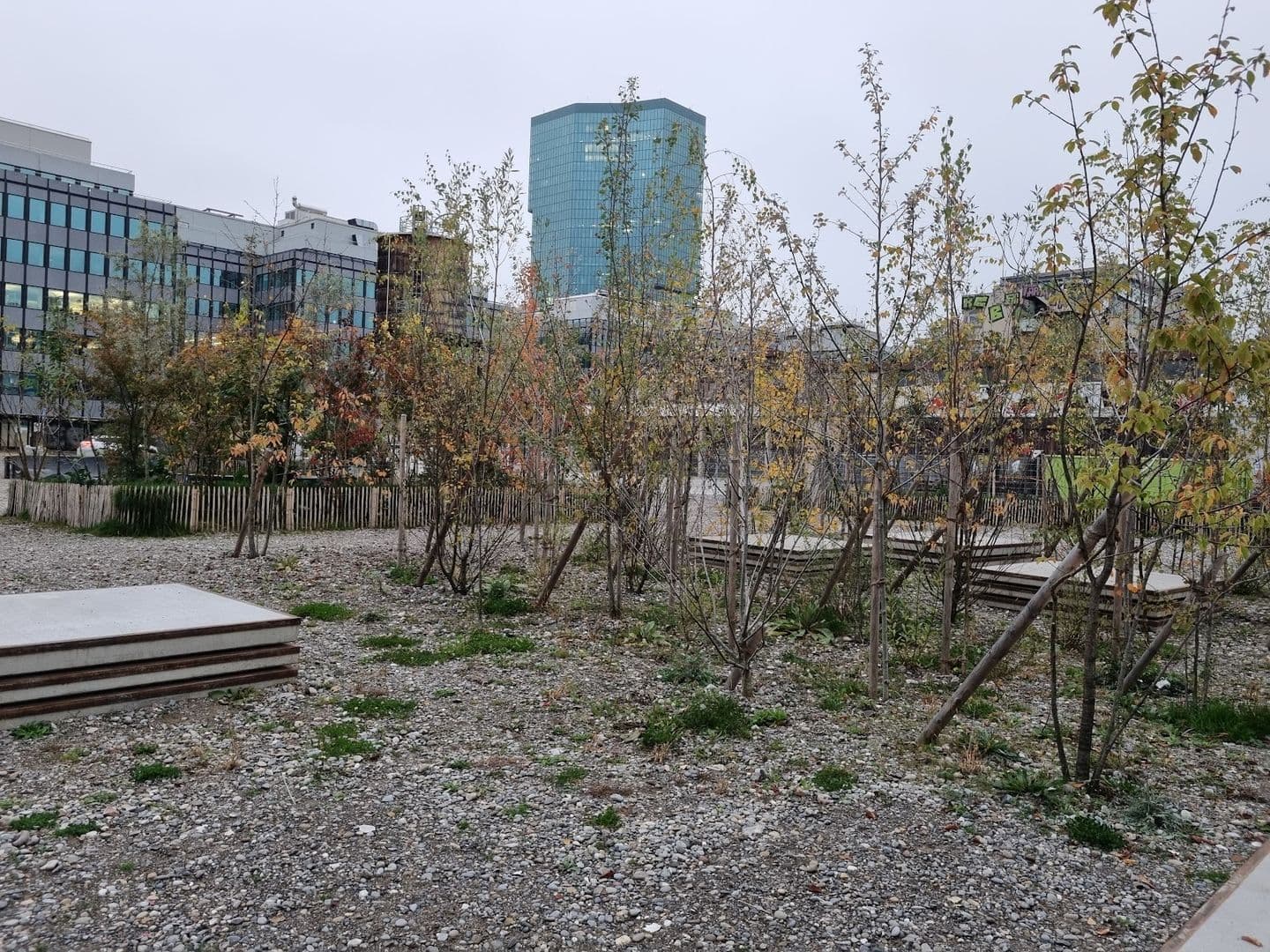 Zürich: Self-Guided Audio Walk Through the City’s Creative West
